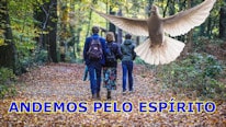 Andamos pelo espírito