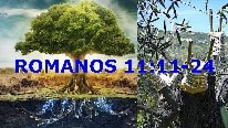 Romanos 11:11-24